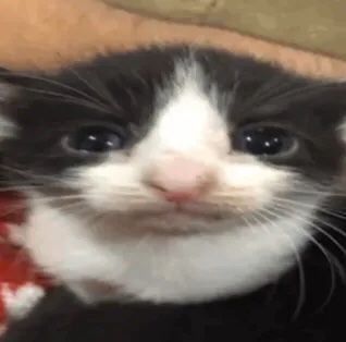 Random image